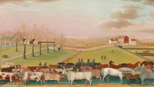 Cattle on the Lawn