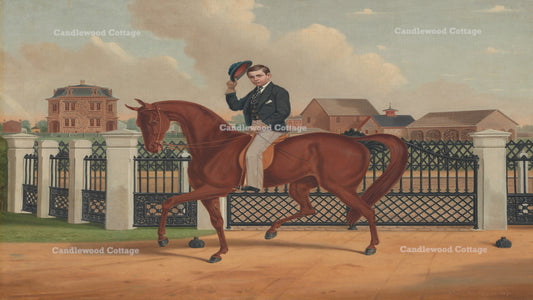 Gentleman on His Horse
