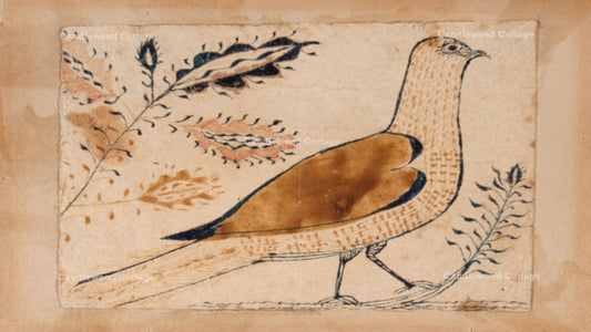Heart Bird