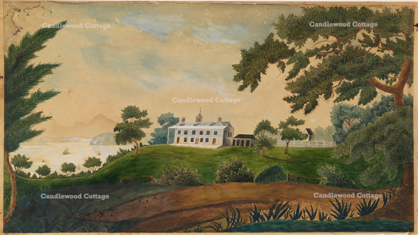 Plantation on a Hill
